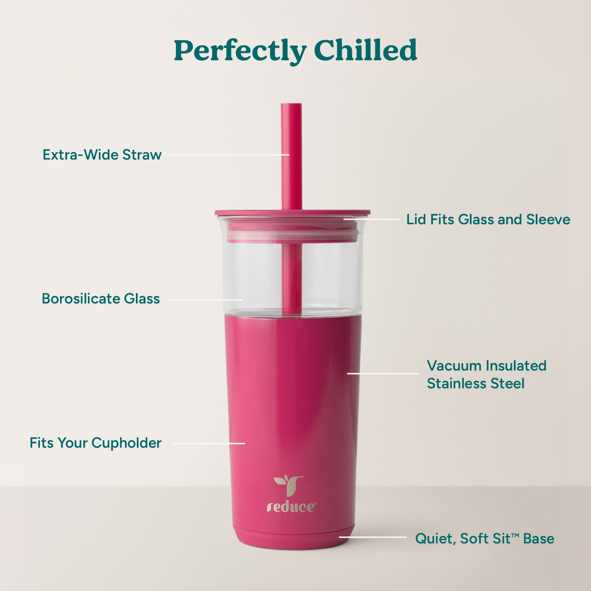 aspen-20-oz-v5 Aspen_Dragonfruit_PDP_Infographic2.jpg
