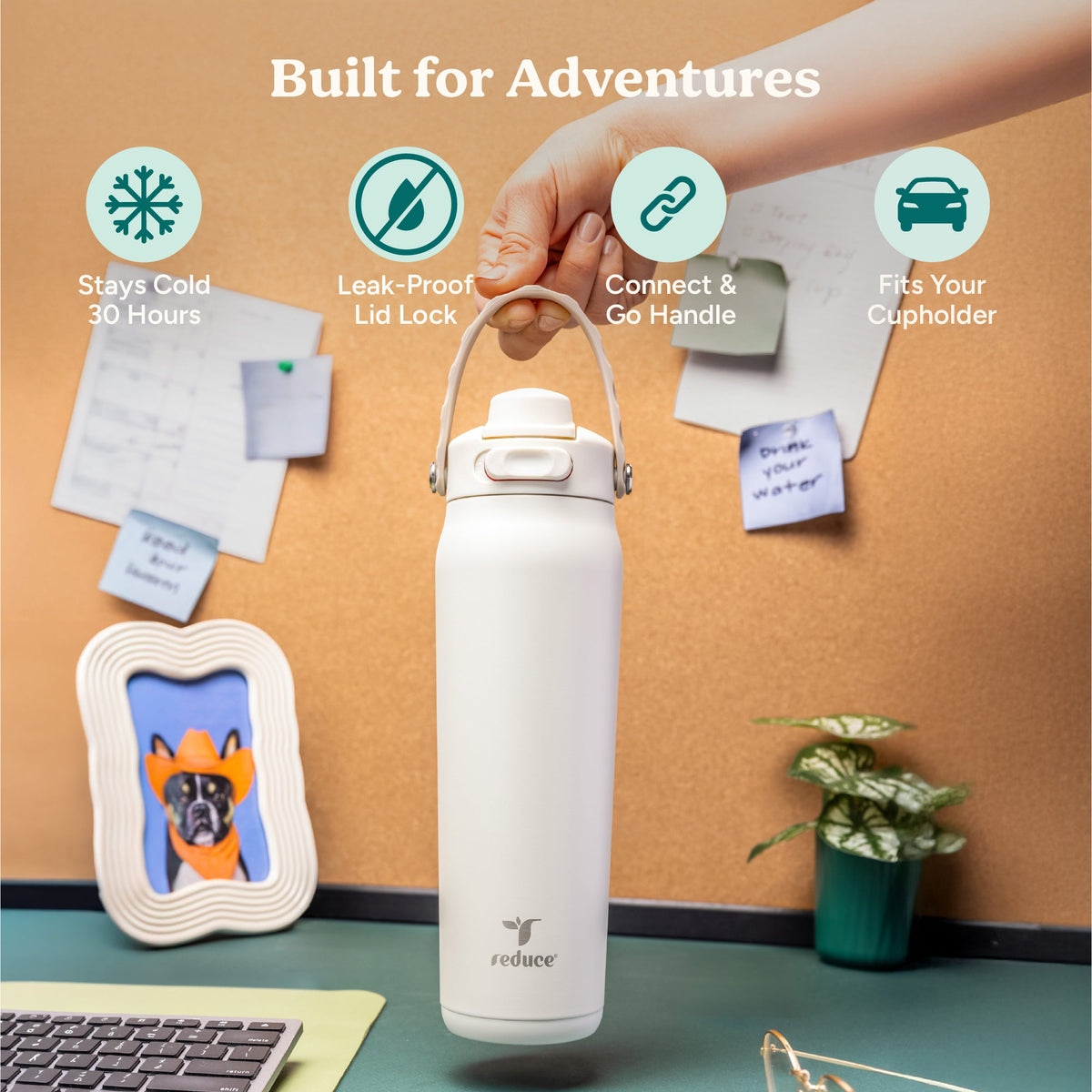 aura-26-oz-r1 Aura_26oz_Unbleached_PDP_Infographic_1.jpg