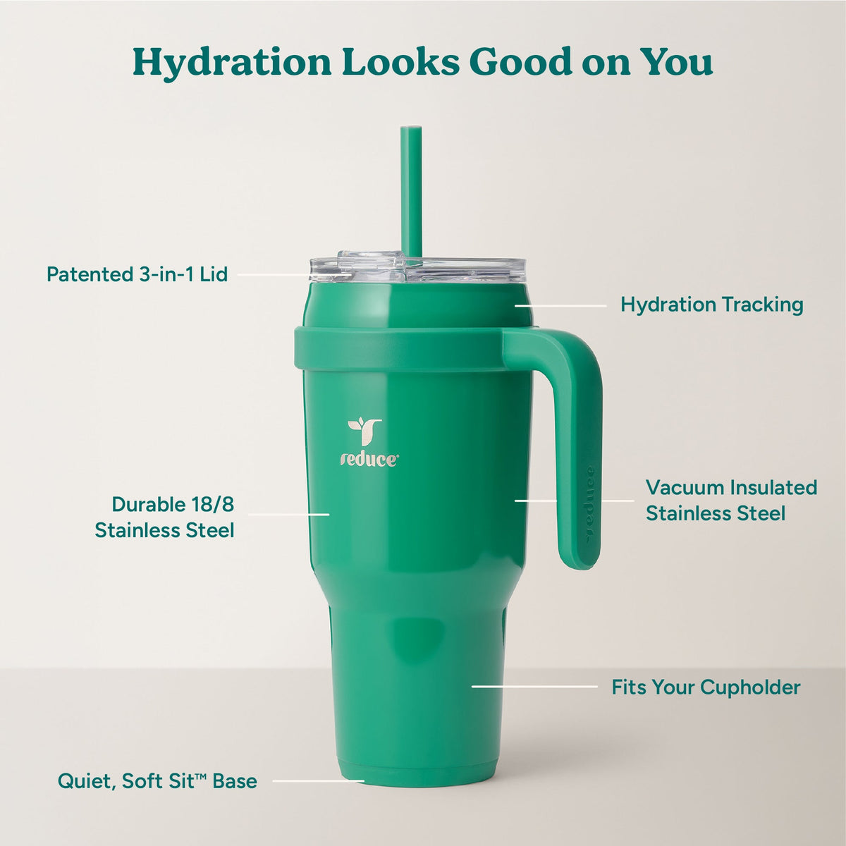 cold1-40-oz-k0 Cold1_40oz_PalmLeaf_Infographic_2.jpg