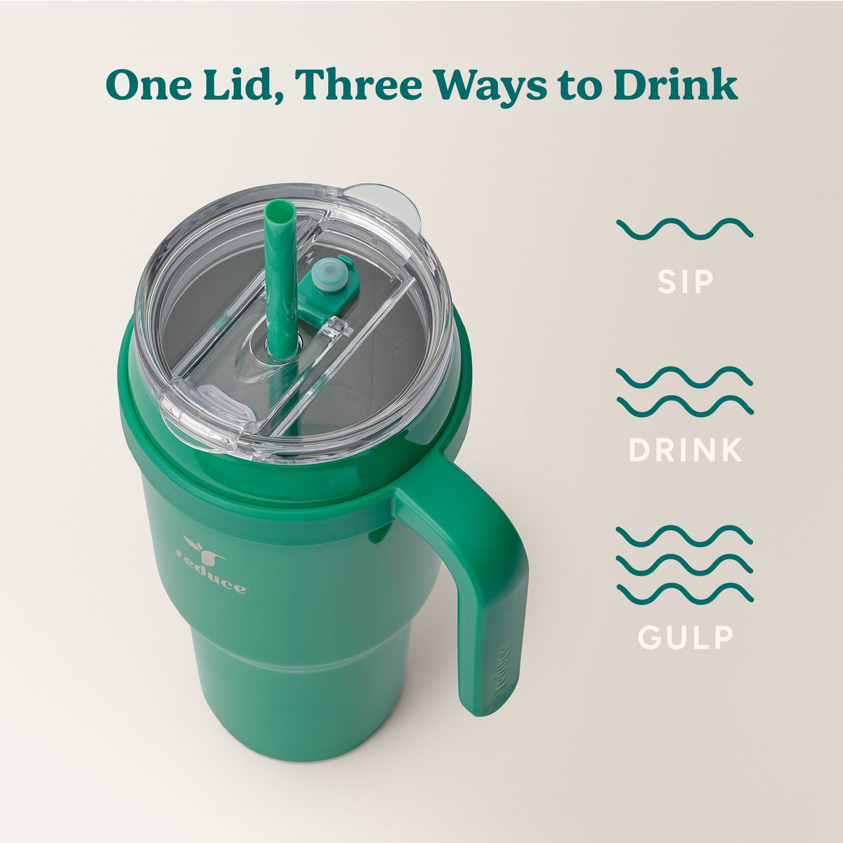 cold1-40-oz-k0 Cold1_40oz_PalmLeaf_Infographic_3.jpg