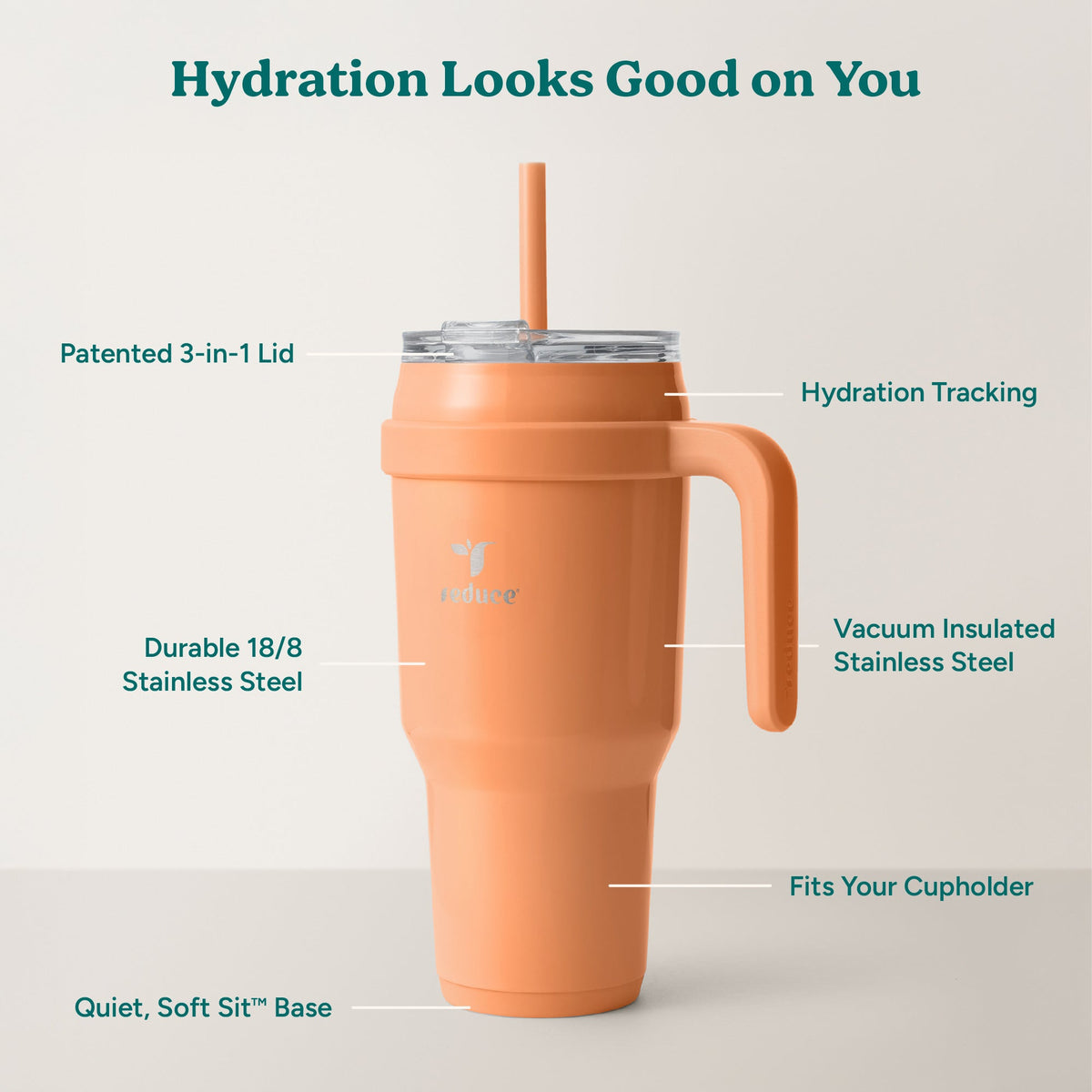 cold1-40-oz-k0 Cold1_40oz_Papaya_Infographic_2.jpg